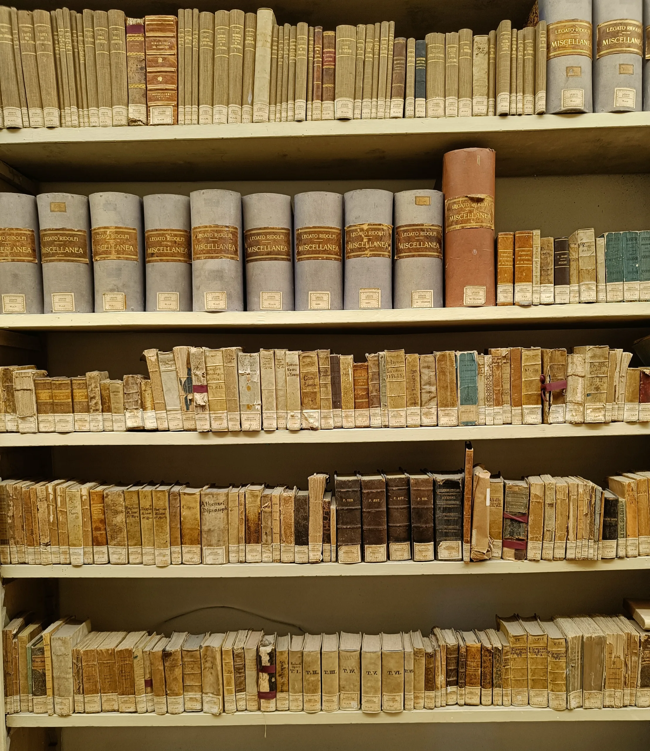 Scaffalature del Fondo Legato Ridolfi